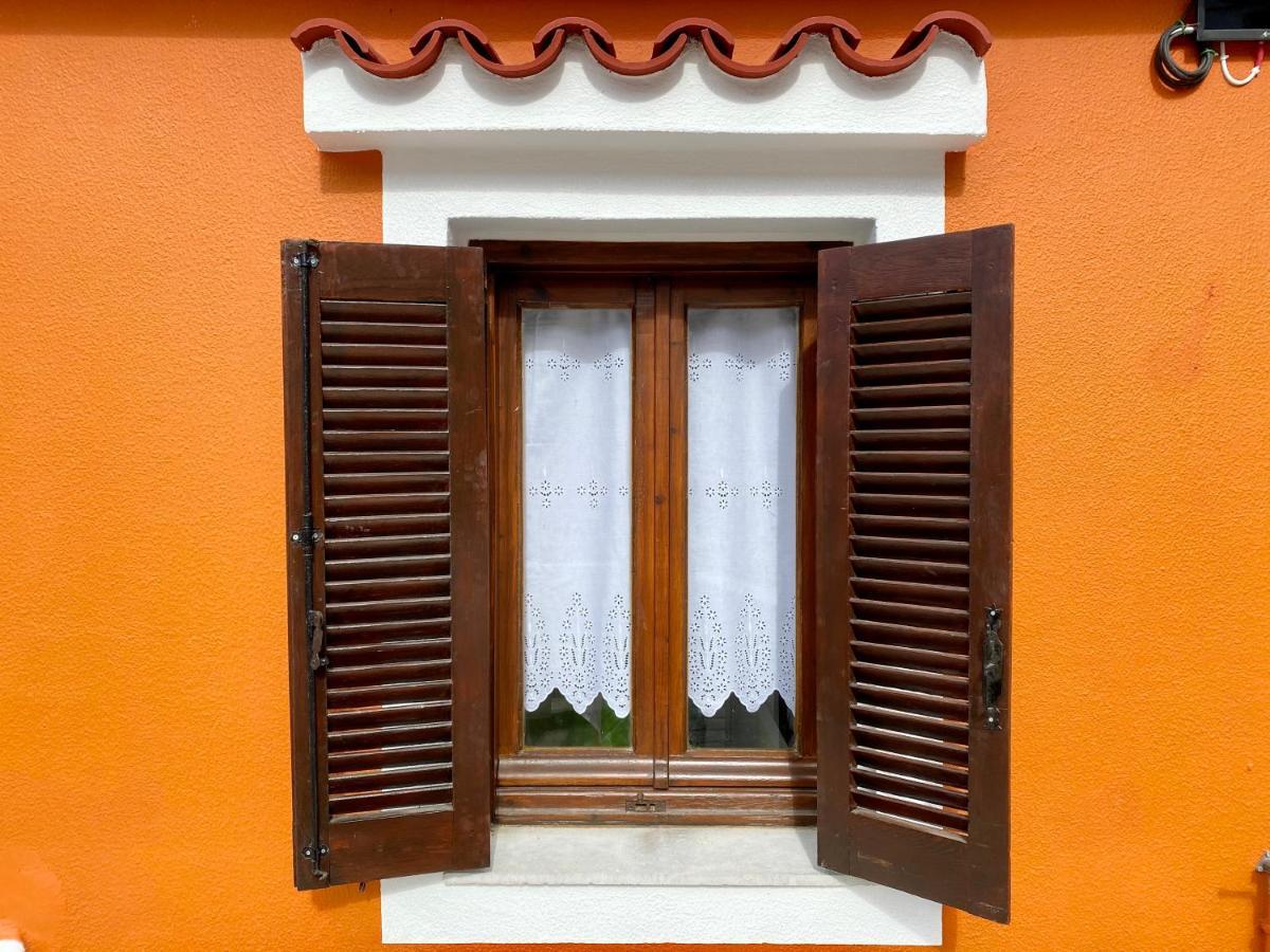 Lion House I * Ioulis